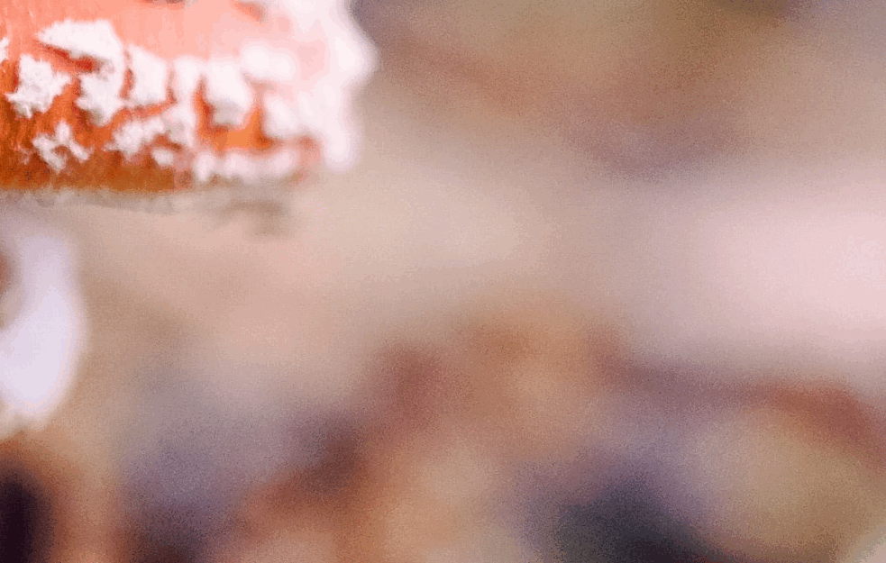 Foto: Unsplash
